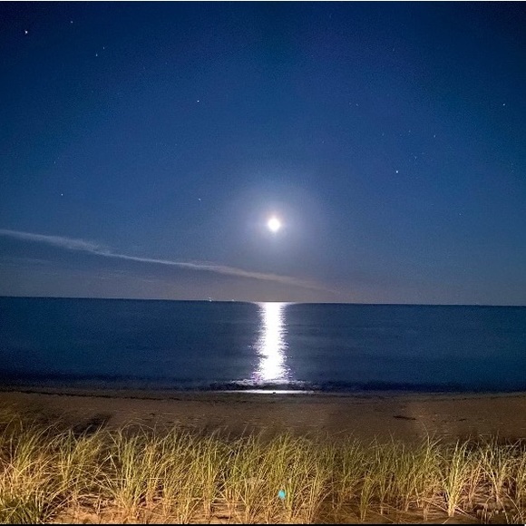 Meet your Posher, Kim - Picture 8 of 13